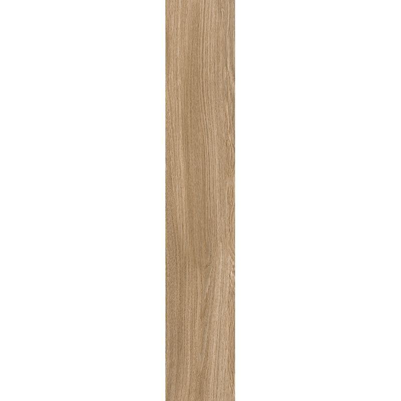Nube Carvalho AC