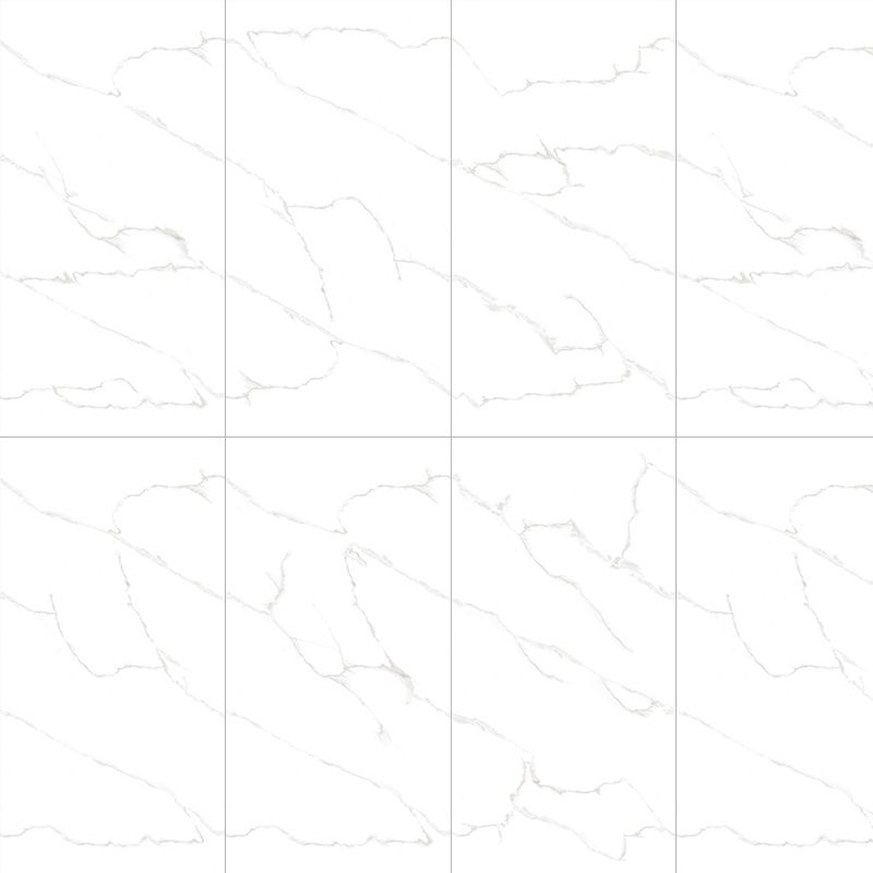 Calacata Endless AC