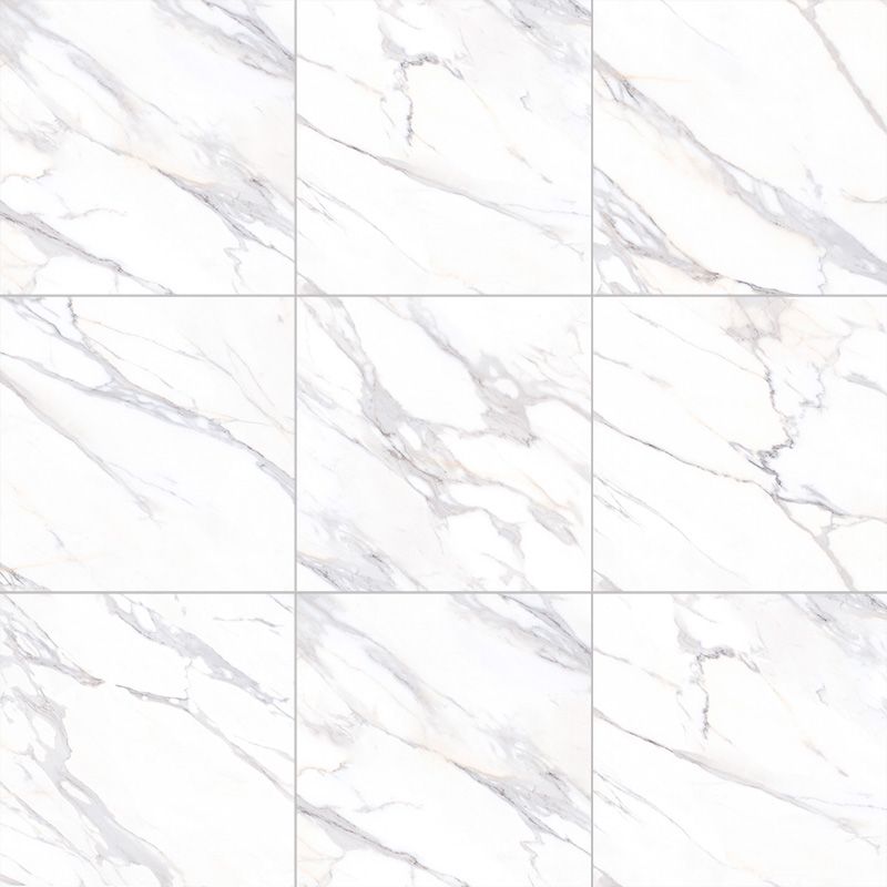 Carrara Dream AC